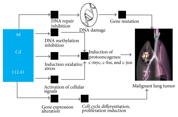 Heavy Metal Content in Thoracic Tissue Samples from Patients with and without NSCLC.