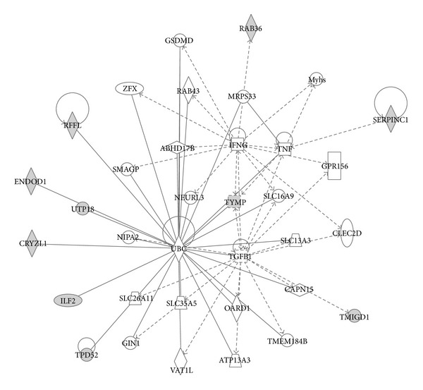 Mapping and Identification of the Urine Proteome of Prostate Cancer Patients by 2D PAGE/MS.