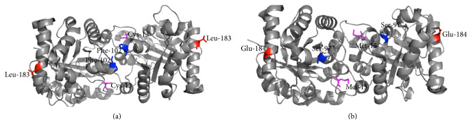 Exploiting unique structural and functional properties of malarial glycolytic enzymes for antimalarial drug development.