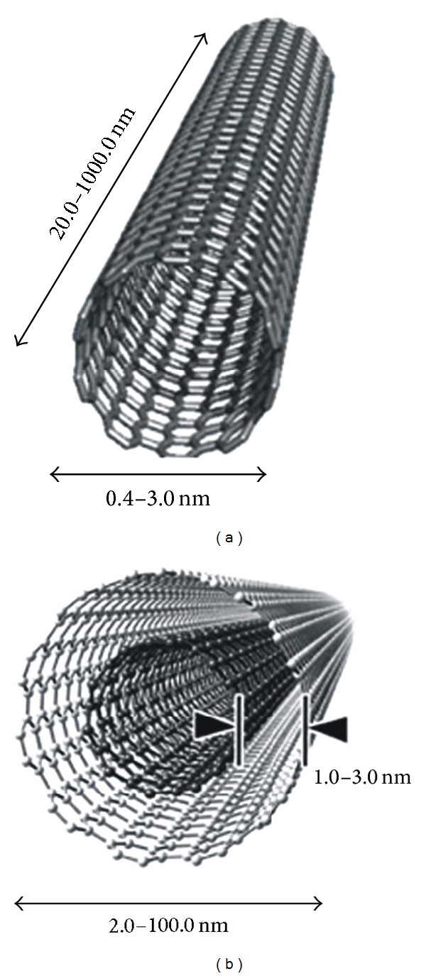 Carbon nanotubes: an emerging drug carrier for targeting cancer cells.