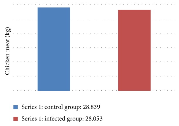Experimental Infection with Sporulated Oocysts of Eimeria maxima (Apicomplexa: Eimeriidae) in Broiler.