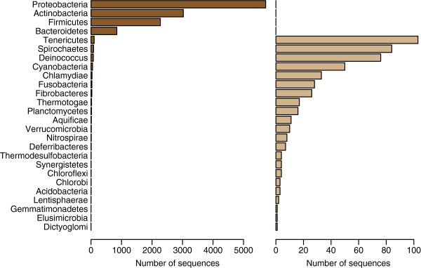 A systematic search for discriminating sites in the 16S ribosomal RNA gene.