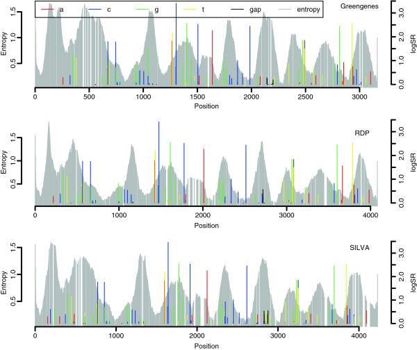 A systematic search for discriminating sites in the 16S ribosomal RNA gene.