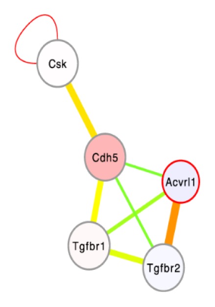 Innate immunity interactome dynamics.