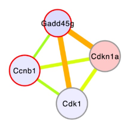 Innate immunity interactome dynamics.