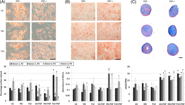 Combined influence of basal media and fibroblast growth factor on the expansion and differentiation capabilities of adipose-derived stem cells