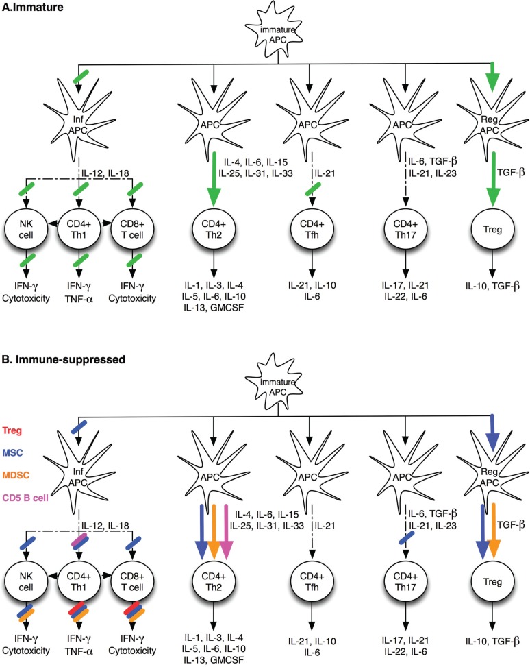 Is Infant Immunity Actively Suppressed or Immature?