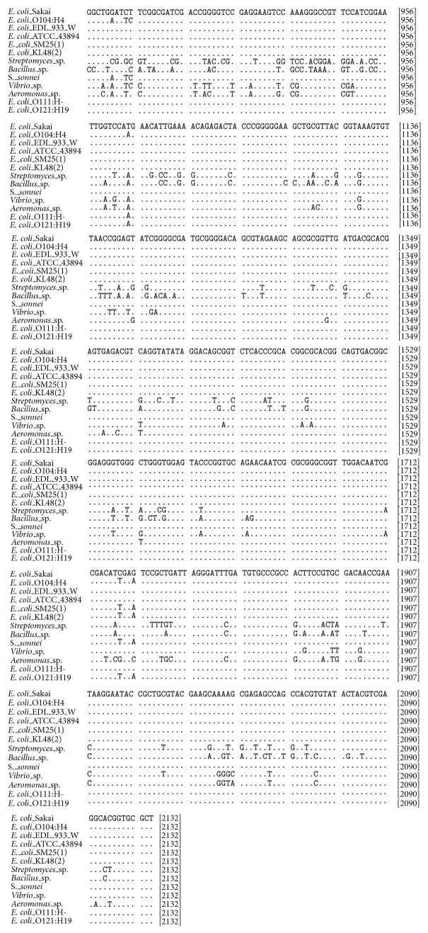 Erratum to "Analysis of Nucleotide Sequences of the 16S rRNA Gene of Novel Escherichia coli Strains Isolated from Feces of Human and Bali Cattle".