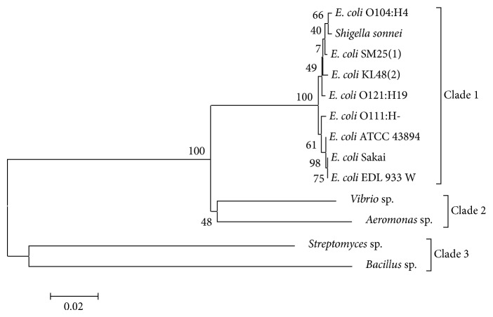 Erratum to "Analysis of Nucleotide Sequences of the 16S rRNA Gene of Novel Escherichia coli Strains Isolated from Feces of Human and Bali Cattle".