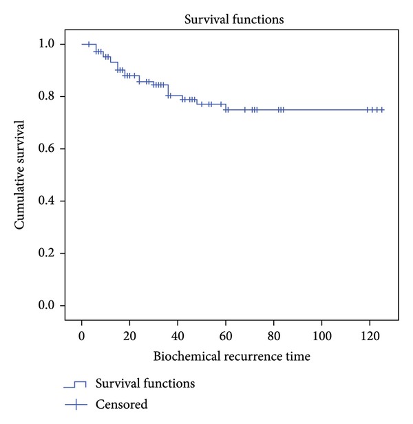 Cryotherapy for primary treatment of prostate cancer: intermediate term results of a prospective study from a single institution.