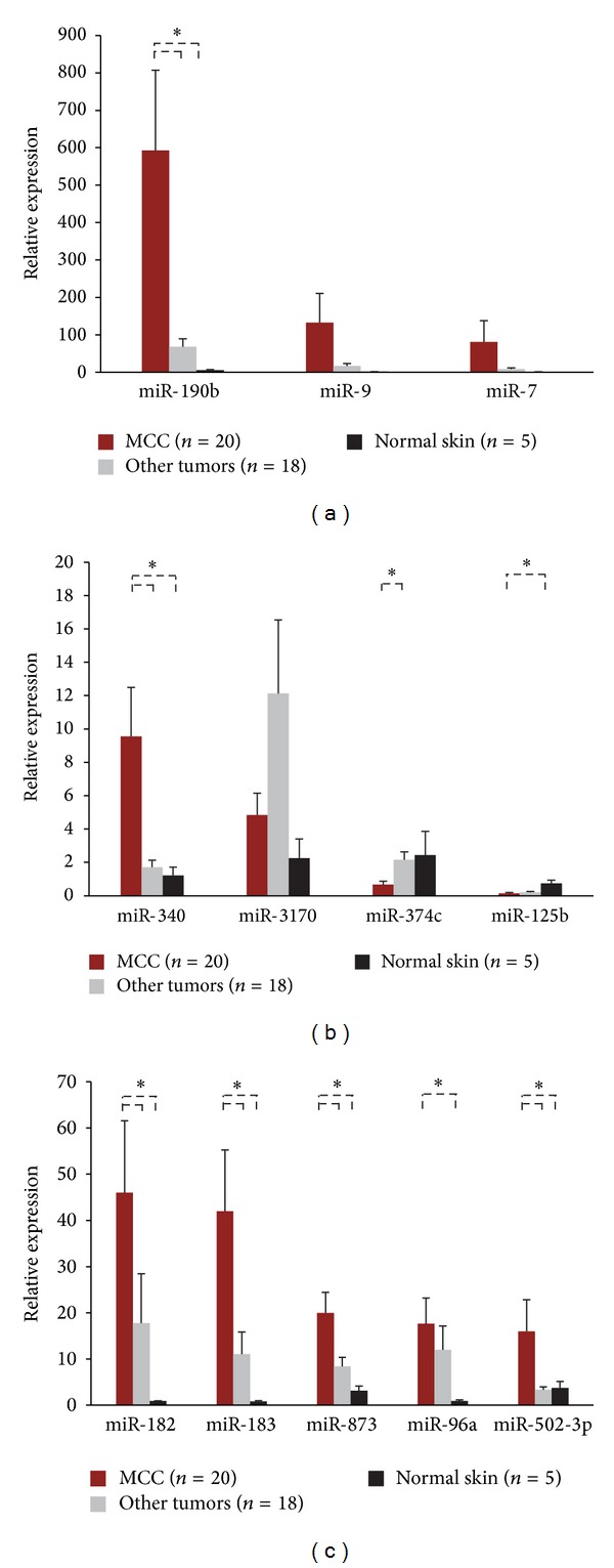 Characterization of the Merkel Cell Carcinoma miRNome.