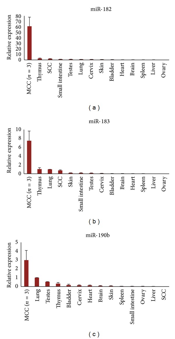 Characterization of the Merkel Cell Carcinoma miRNome.