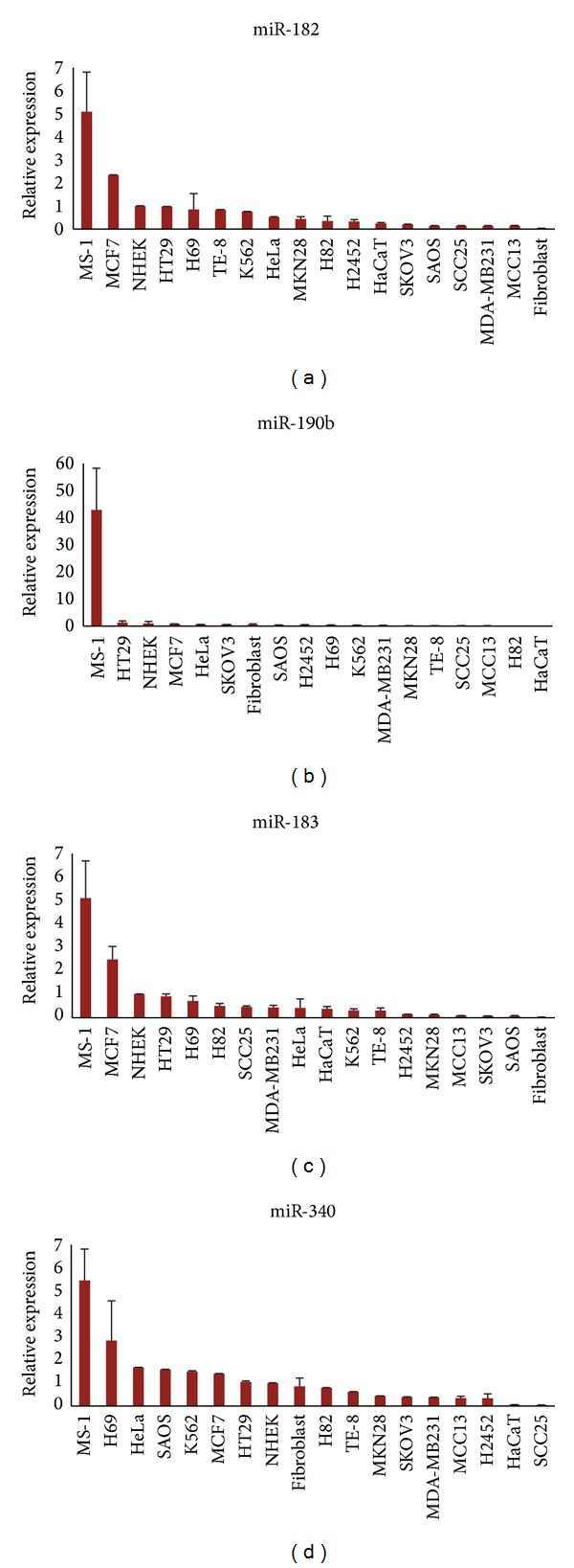 Characterization of the Merkel Cell Carcinoma miRNome.