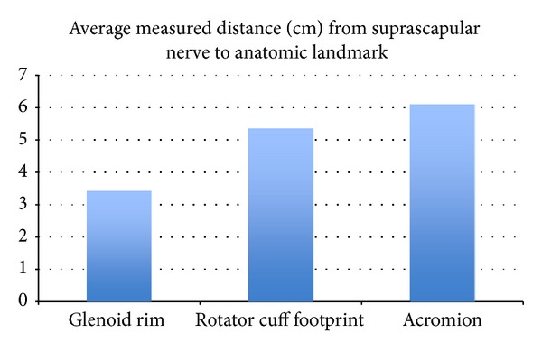 Anatomical considerations of the suprascapular nerve in rotator cuff repairs.