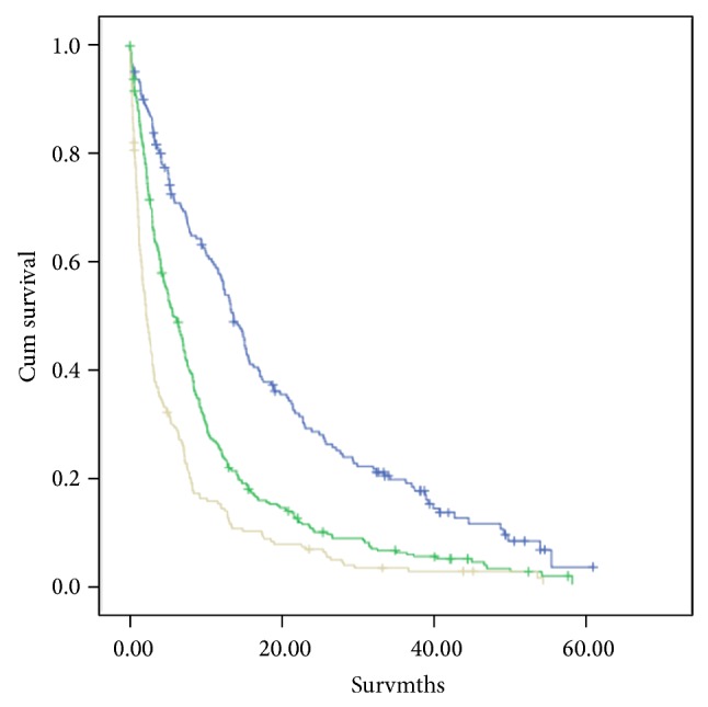 Simple and Objective Prediction of Survival in Patients with Lung Cancer: Staging the Host Systemic Inflammatory Response.