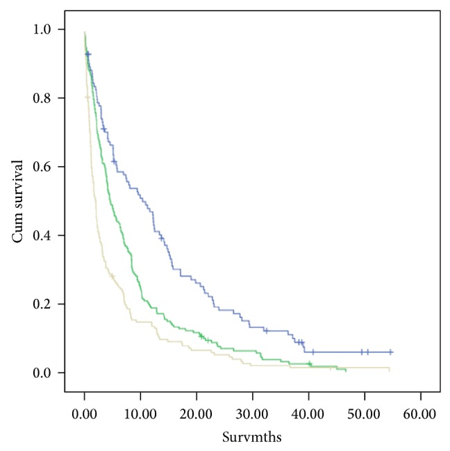 Simple and Objective Prediction of Survival in Patients with Lung Cancer: Staging the Host Systemic Inflammatory Response.