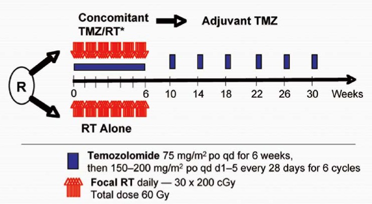 Standards of care and novel approaches in the management of glioblastoma multiforme.