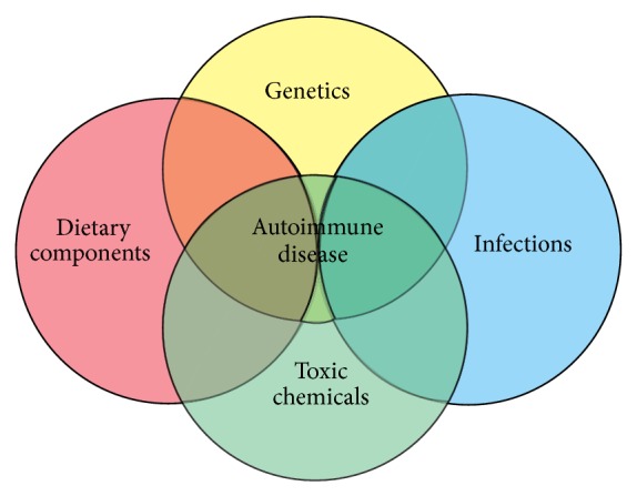 Environmental triggers and autoimmunity.