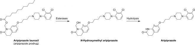 Biological conversion of aripiprazole lauroxil − An N-acyloxymethyl aripiprazole prodrug