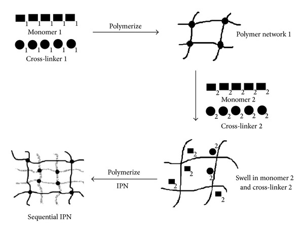 Interpenetrating polymer networks as innovative drug delivery systems.