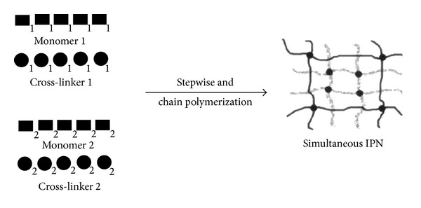 Interpenetrating polymer networks as innovative drug delivery systems.