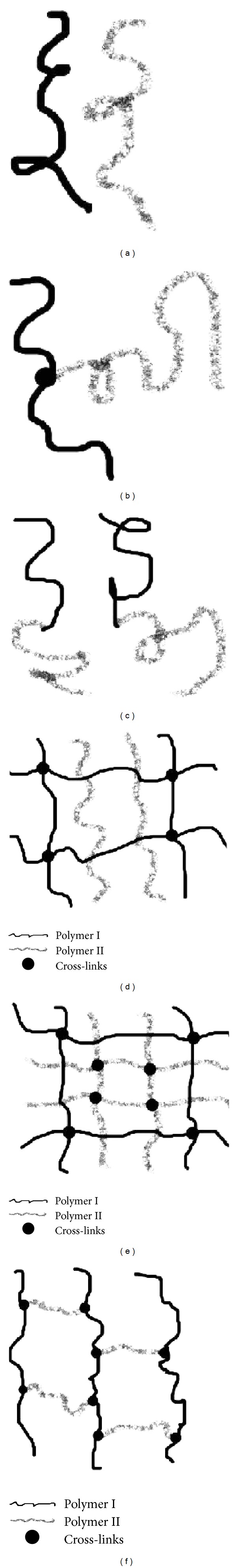 Interpenetrating polymer networks as innovative drug delivery systems.