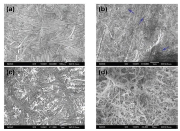 Noncovalent Functionalization of Boron Nitride Nanotubes in Aqueous Media Opens Application Roads in Nanobiomedicine.