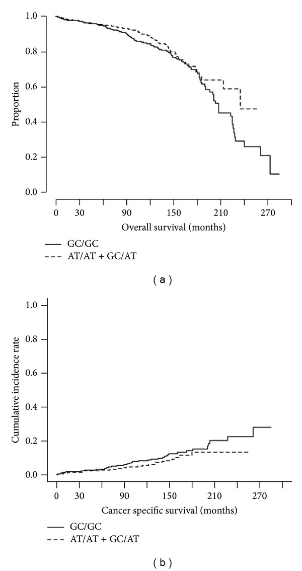 Role of p73 Dinucleotide Polymorphism in Prostate Cancer and p73 Protein Isoform Balance.