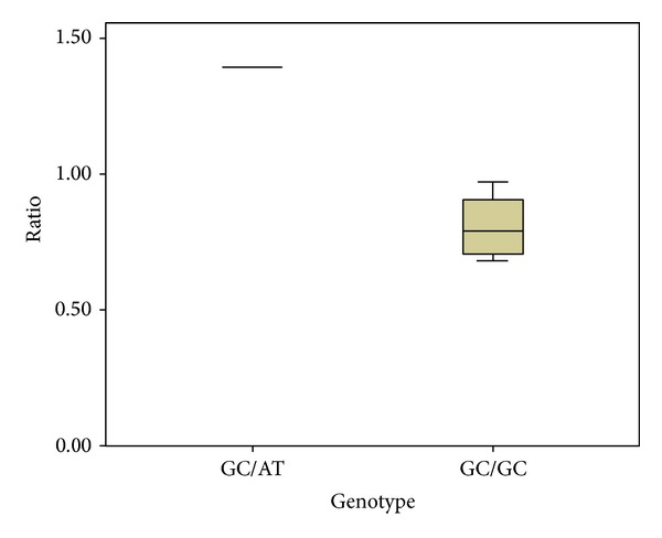 Role of p73 Dinucleotide Polymorphism in Prostate Cancer and p73 Protein Isoform Balance.