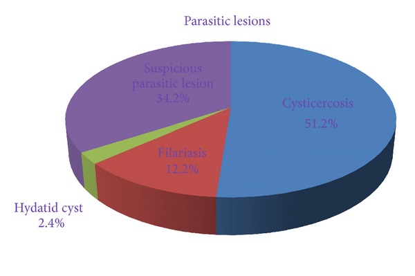 A cytological study of palpable superficial nodules of parasitic origin: a study of 41 cases.