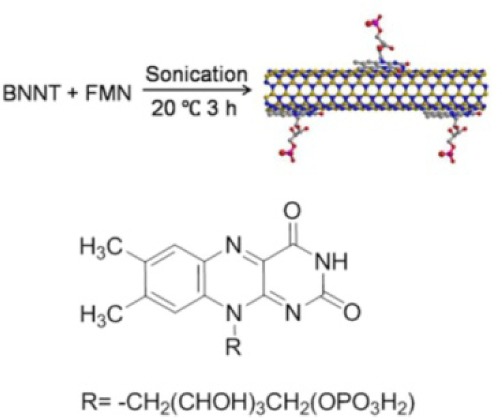 Noncovalent Functionalization of Boron Nitride Nanotubes in Aqueous Media Opens Application Roads in Nanobiomedicine.