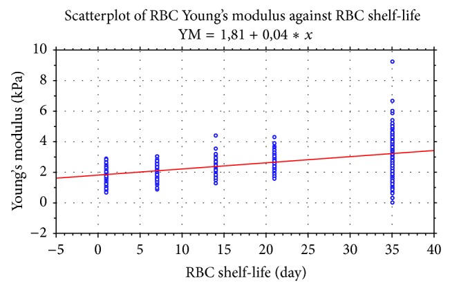 The quality assessment of stored red blood cells probed using atomic-force microscopy.