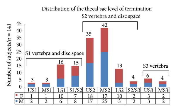 Relationship of the lumbar lordosis angle to the level of termination of the conus medullaris and thecal sac.