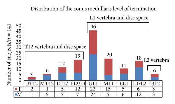 Relationship of the lumbar lordosis angle to the level of termination of the conus medullaris and thecal sac.