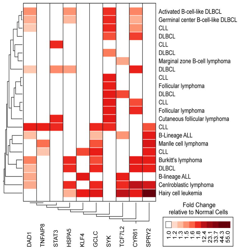 SYK as a New Therapeutic Target in B-Cell Precursor Acute Lymphoblastic Leukemia.