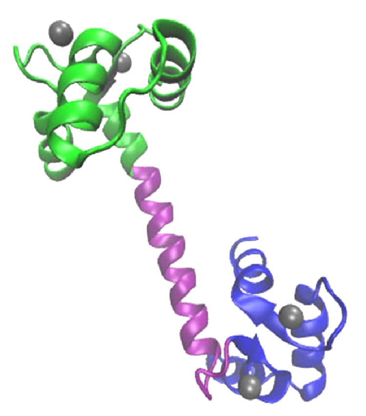 Effect of Calcium Ion Removal, Ionic Strength, and Temperature on the Conformation Change in Calmodulin Protein at Physiological pH.