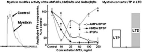 Corticotropin-releasing factor-like peptide modifies the AMPA-, NMDA-dependent and GABAB-ergic properties of synaptic transmissions in vitro