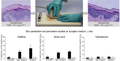 Development and validation of an alternative disturbed skin model by mechanical abrasion to study drug penetration