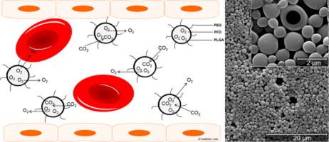 Safety of poly (ethylene glycol)-coated perfluorodecalin-filled poly (lactide-co-glycolide) microcapsules following intravenous administration of high amounts in rats