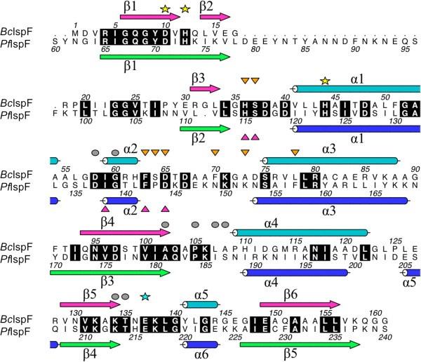 Crystal structures of IspF from Plasmodium falciparum and Burkholderia cenocepacia: comparisons inform antimicrobial drug target assessment