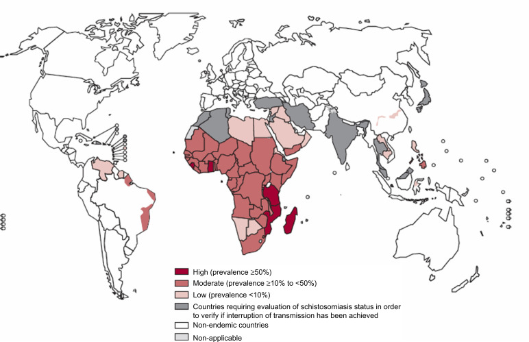 Prevention and control of schistosomiasis: a current perspective.