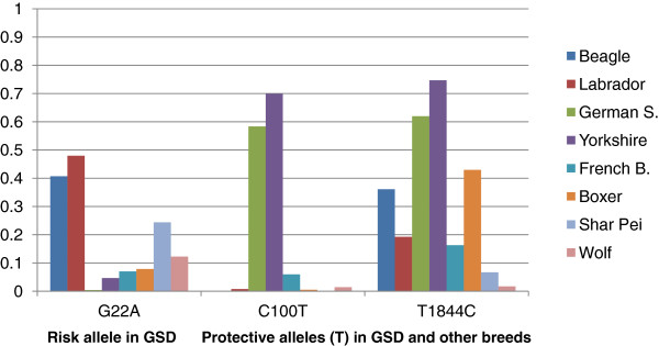 Non-synonymous genetic variation in exonic regions of canine Toll-like receptors.