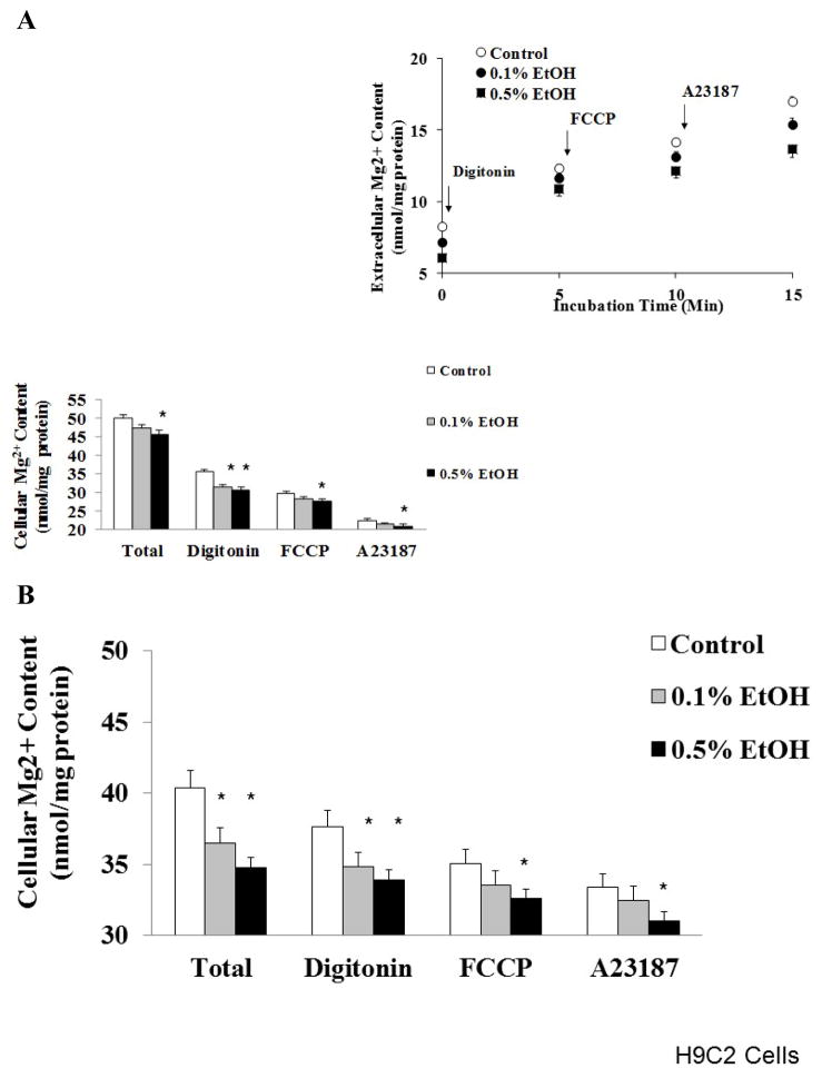 Effect of Alcohol Administration on Mg<sup>2+</sup> Homeostasis in H9C2 Cells.