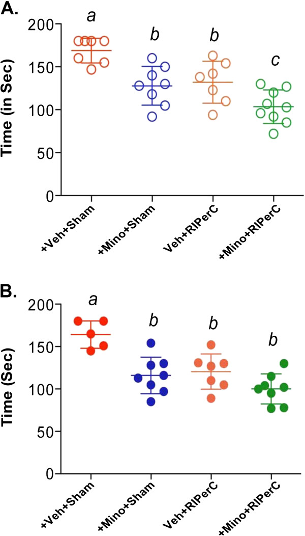 A 2 × 2 factorial design for the combination therapy of minocycline and remote ischemic perconditioning: efficacy in a preclinical trial in murine thromboembolic stroke model.