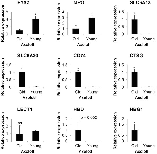 Plasticity for axolotl lens regeneration is associated with age-related changes in gene expression.