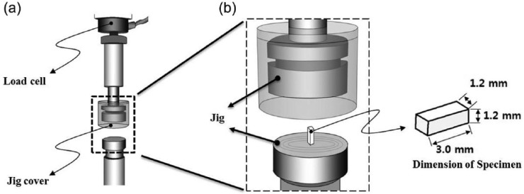 Comparative study of mechanical properties of dental restorative materials and dental hard tissues in compressive loads.