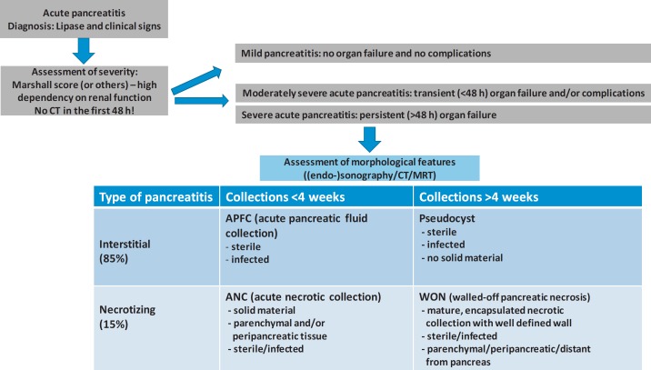 Antibiosis of Necrotizing Pancreatitis.