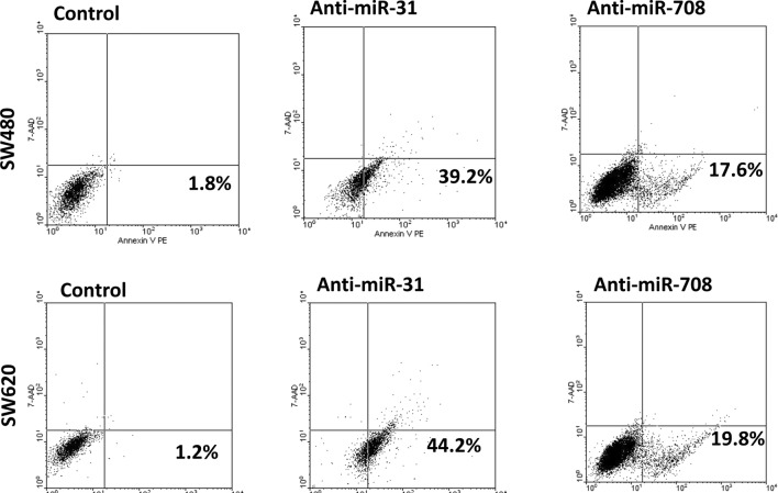 Regulatory roles of microRNA-708 and microRNA-31 in proliferation, apoptosis and invasion of colorectal cancer cells.