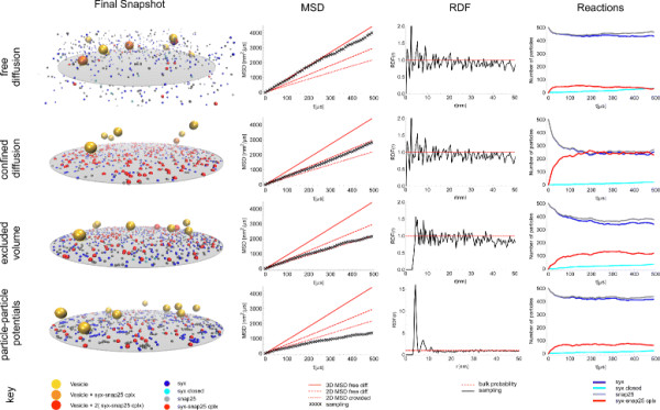 Simulation tools for particle-based reaction-diffusion dynamics in continuous space.