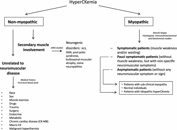 Assessment of patients with idiopathic inflammatory myopathies and isolated creatin-kinase elevation.